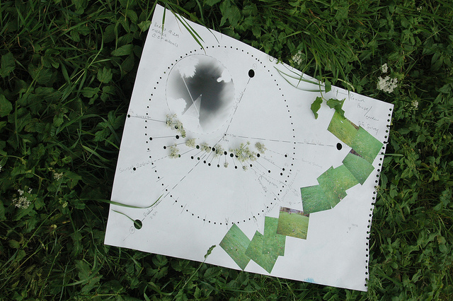 Spatial Analysis: Site Specific.