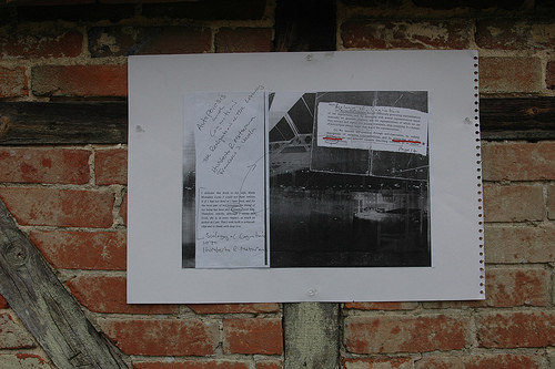 Research Collage: Autopoisis and Cognition 