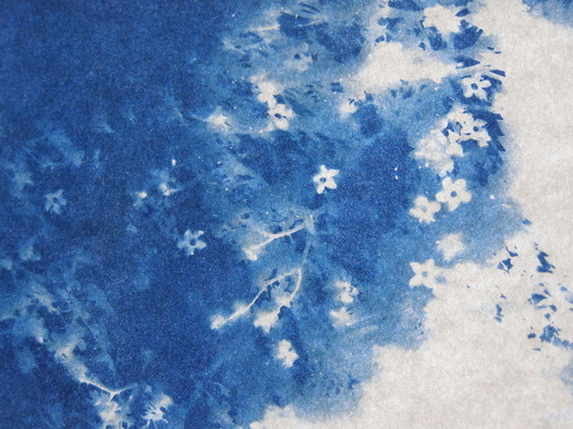 Media_httprussellmore_dxjhc