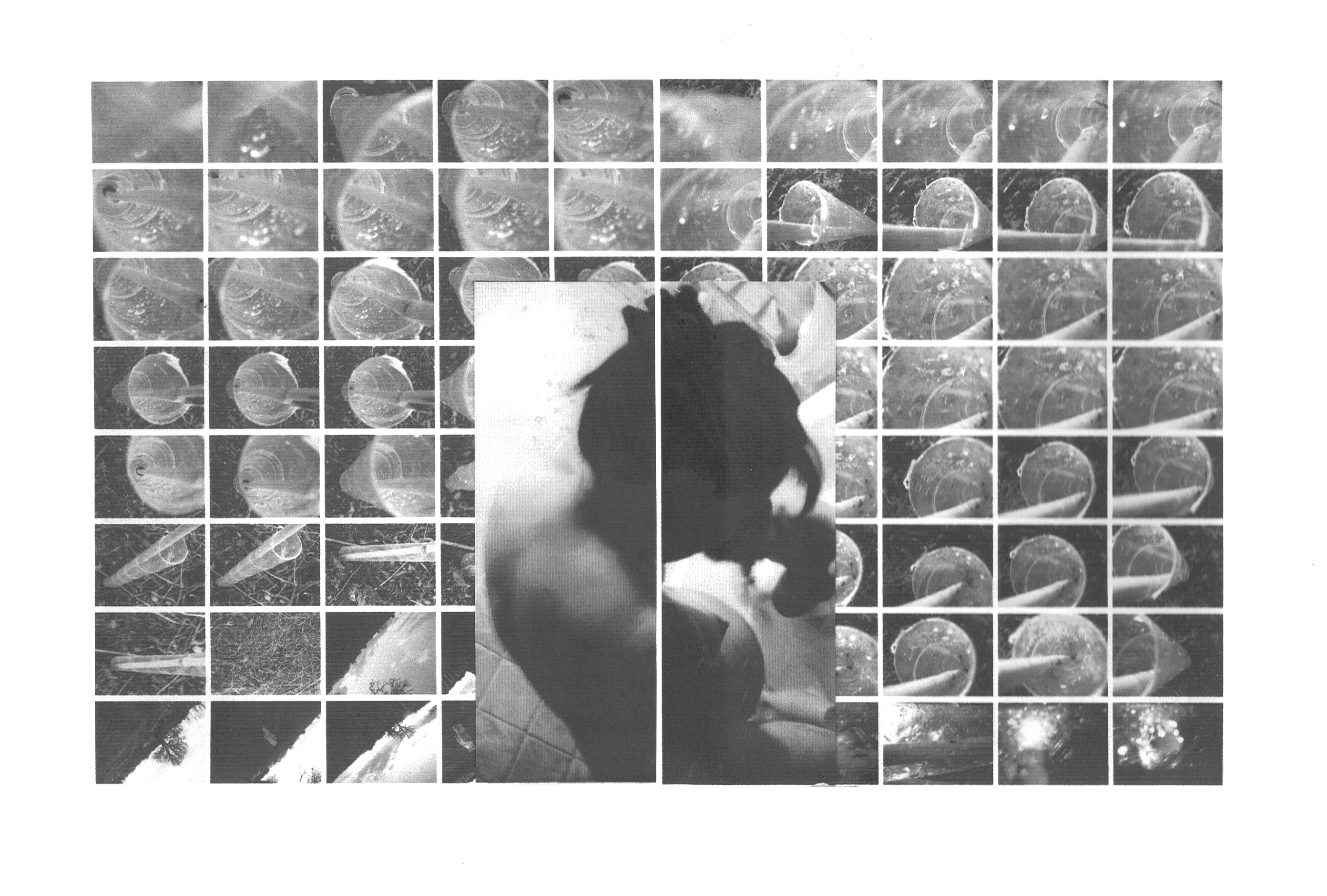 Photograph (206)light