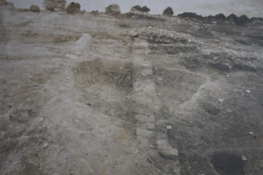 Site : Morn Hill&nbsp;Winchester.